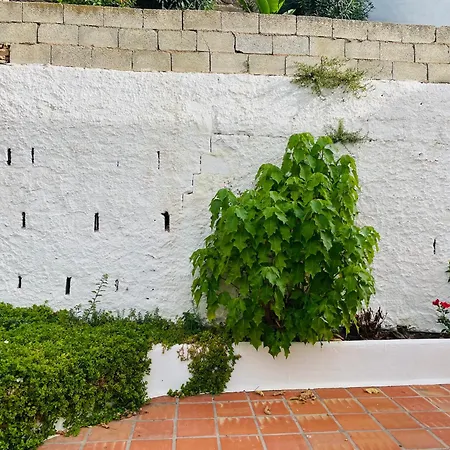 Apartment Adosado Tropicana En